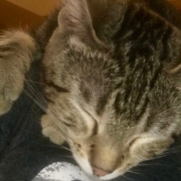 Meet your Posher, Christie - Picture 7 of 7